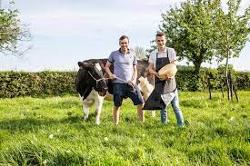 Ferme Tri Dieu — producteur local en province de Liège