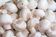 Champignons Van Eys — producteur local en province de Liège