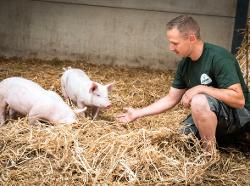 Porcs Qualite Ardenne — producteur local en province de Liège