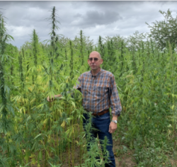 Le Chanvre De Hergicourt — producteur local en province de Liège