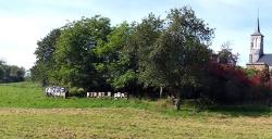 Clos Des Abeilles