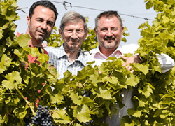Domaine Du Chenoy