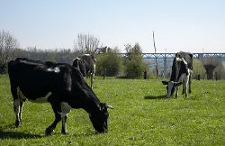Ferme Neubempt