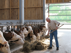 Fromagerie Vincent Counasse Sprl — producteur local en province de Liège