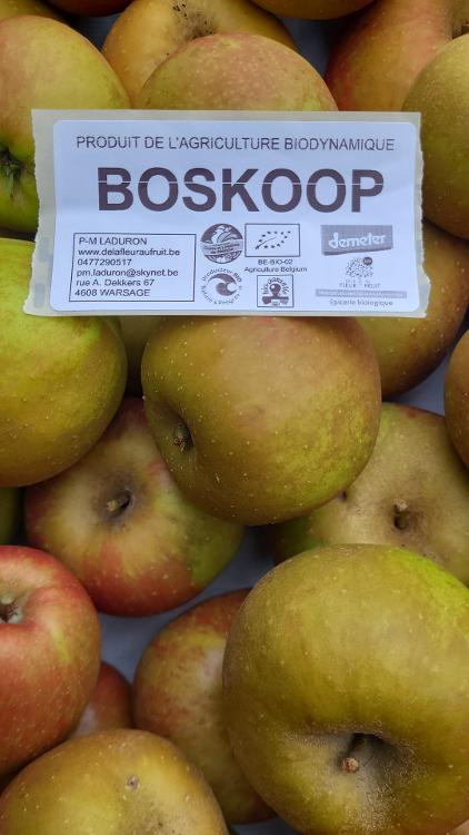 Pomme Boscoop ou Reinette de Brabant