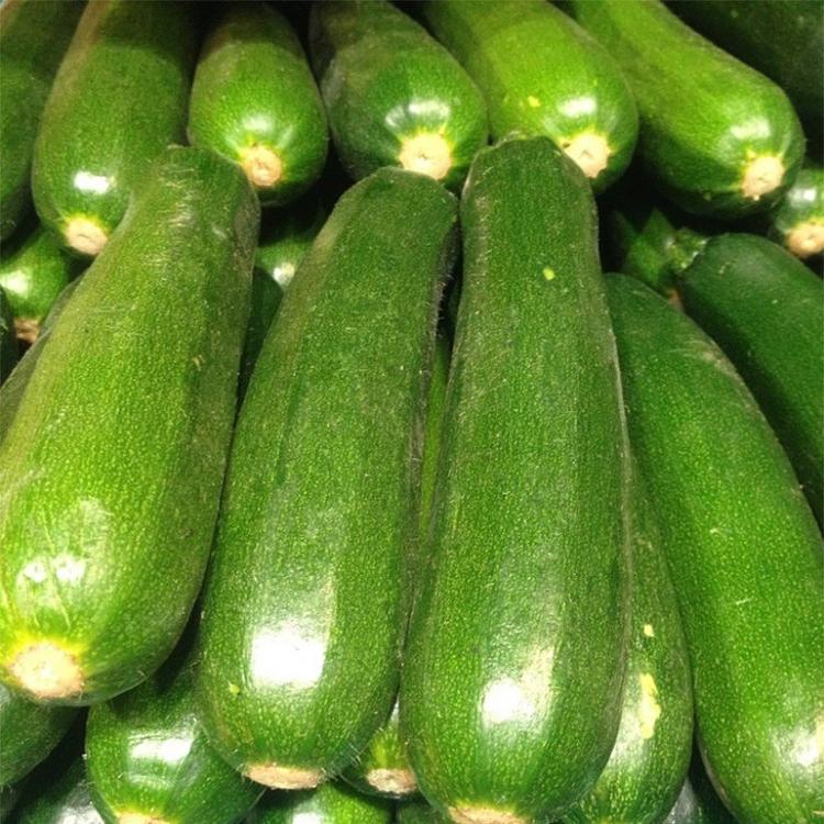Courgette verte soupe GROS CALIBRE (Vrac)