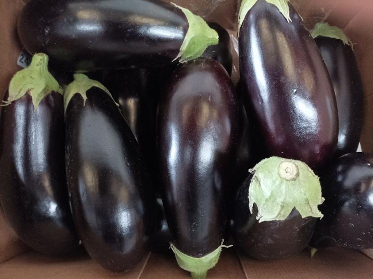 Aubergine (en vrac)