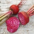 Betteraves chioggia