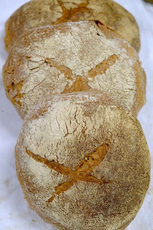 Pain levain épeautre gris - gros