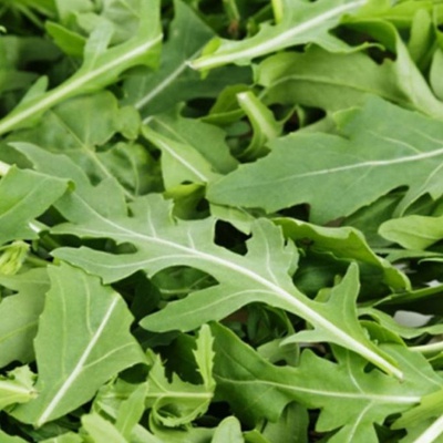 Roquette