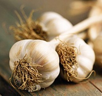 Ail frais (vrac)
