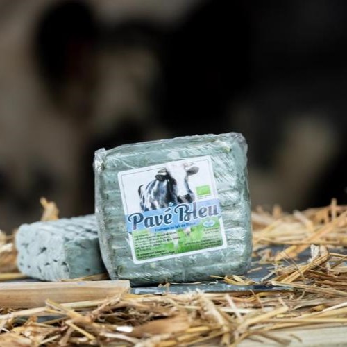 Le pavé bleu