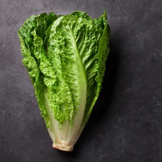Salade romaine (Vrac)