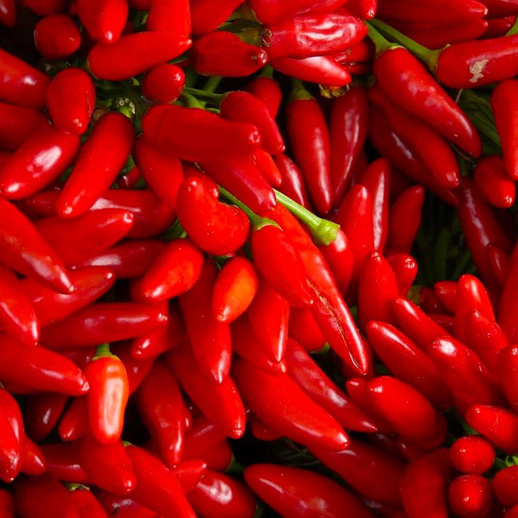 Piments rouges (Vrac)