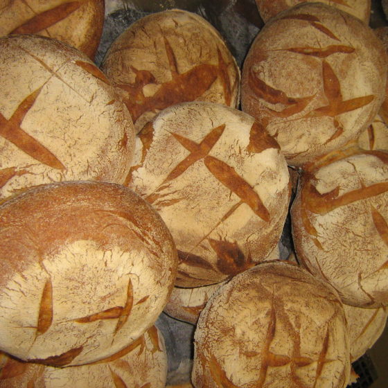 Pain levain campagne - petit 450gr
