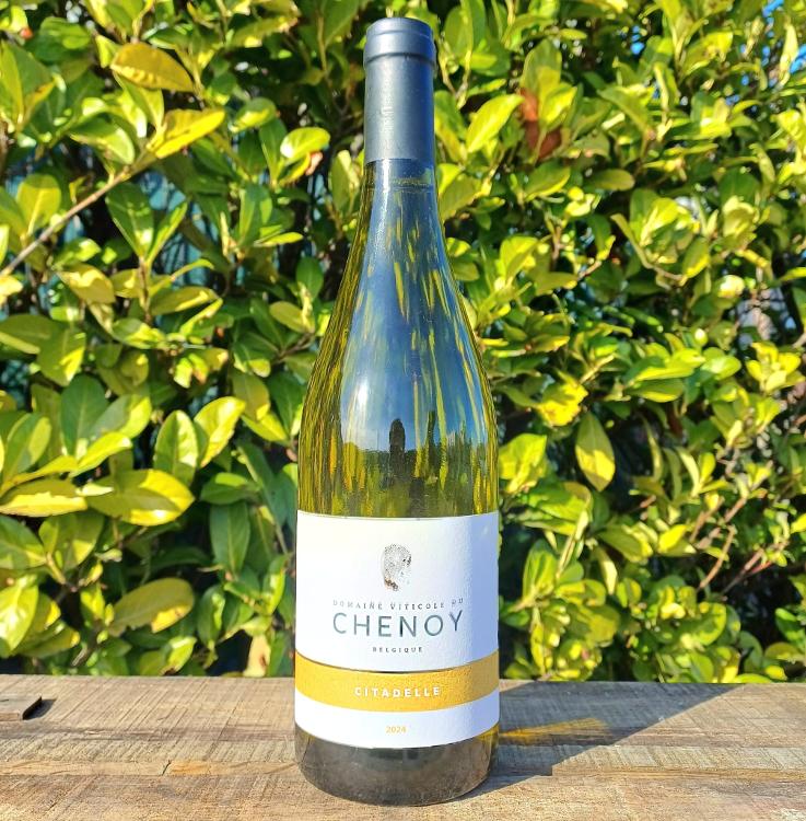 Chenoy Citadelle blanc 2024 (13%)