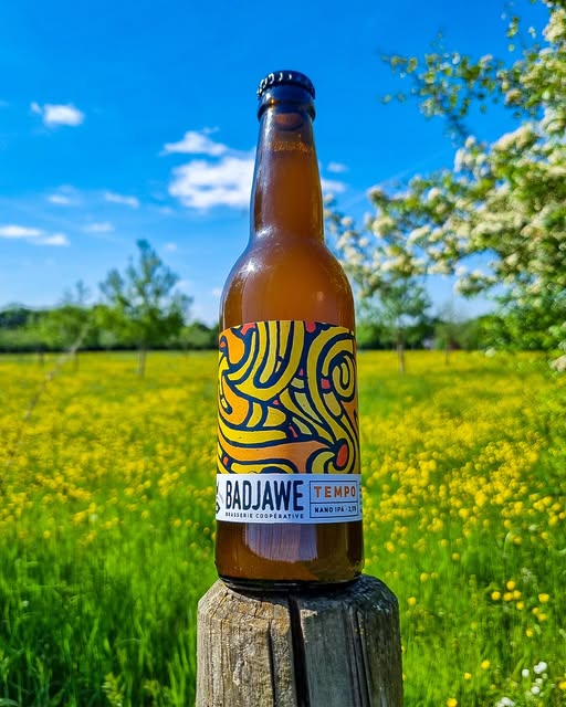 Badjawe Tempo Bio (2,5%) 33cl