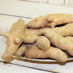 Pomme de terre - Corne de gatte