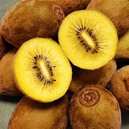 Kiwi jaune Italie 6kg pré commande bio