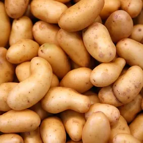 Pomme de terre grenaille (Vrac)
