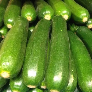 Courgette verte soupe (Vrac)