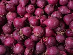Oignon rouge NOUVELLE RECOLTE (vrac)