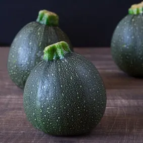 Courgette ronde bio 1pce