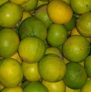 Citron bergamote