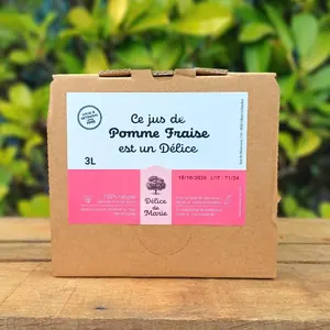 Jus Pomme-Fraise 3 l