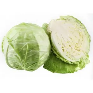 Chou blanc