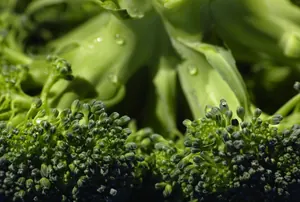 Brocoli