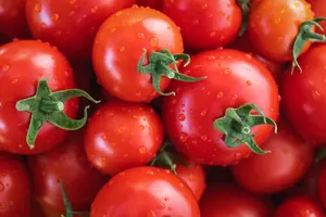 Tomates rouges