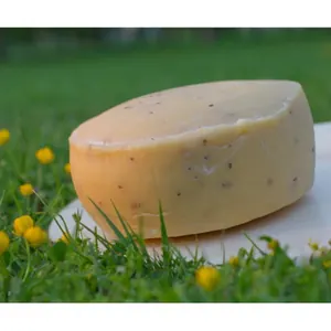 Tomme des Cotaies Orties (Bloc)