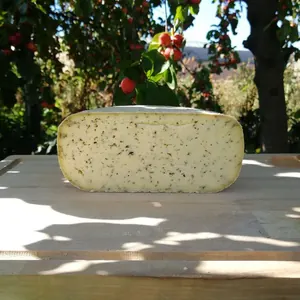 Coucou ortie persil 1/2 roue +/- 1 kg