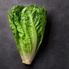 Salade romaine (Vrac)
