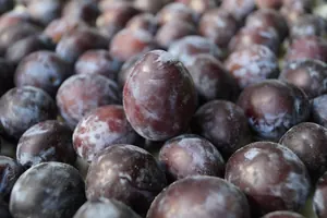 Prunes rouges