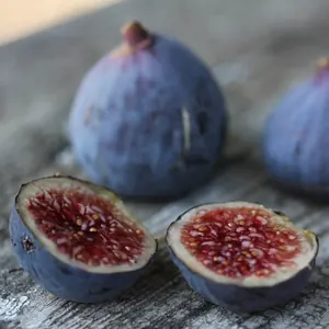 Figues noire et blanche