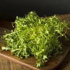 Chicorée frisée