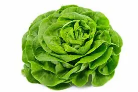 Salade (divers de saison) (Vrac)
