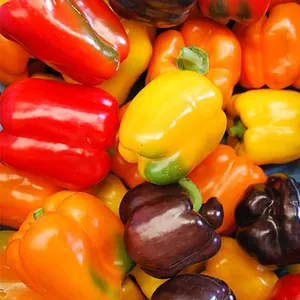 Poivrons couleur (vrac)